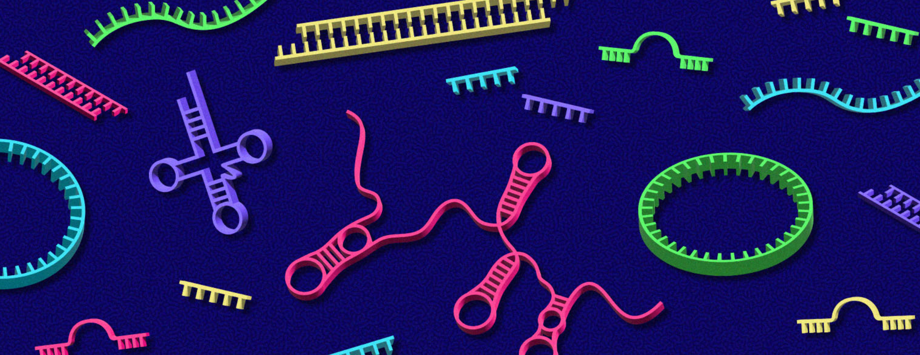 الأغلبية الصامتة: جزيئات RNA التي لا تصنع البروتينات